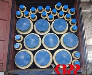 越南胡志明供冷項目